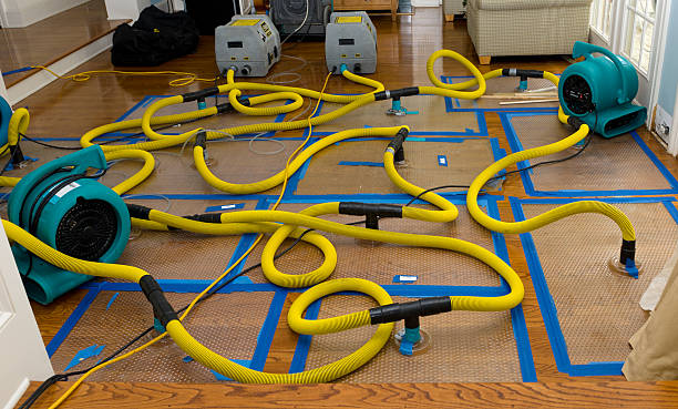 Professional Crawl Space Water Removal technician working in East Lynne, MO